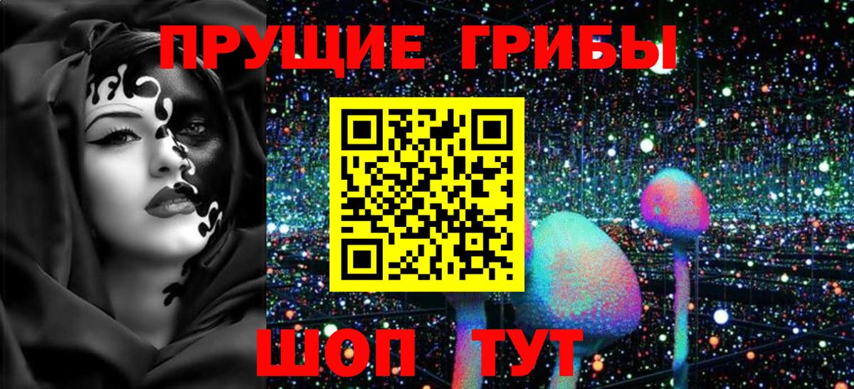 Псилоцибиновые грибы Cubensis Сорочинск