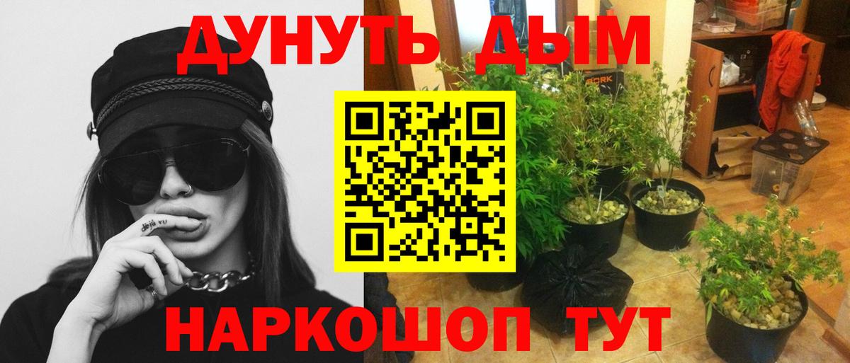 Сорочинск  Бошки Шишки ГИДРОПОН  Конопля марихуана  Вход с VPN  Канабис тримм 